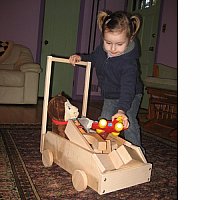 Walker with Upright Handle