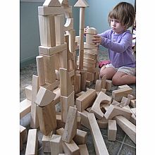 Special Shapes 120 piece Block Set